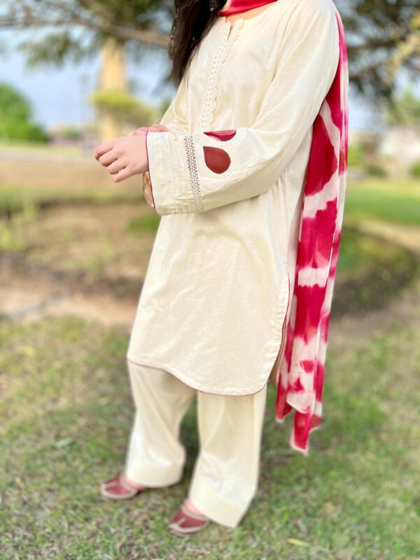 Beige Maroon Premium Lawn Stitched 3 Piece Suit 2